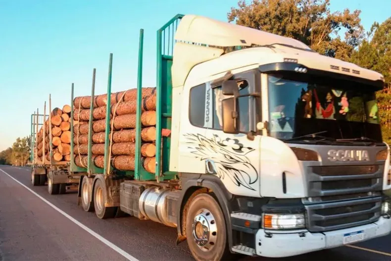 Camioneros1