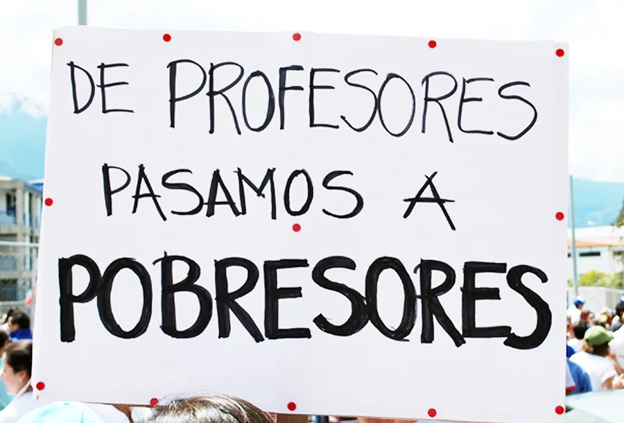 docentes