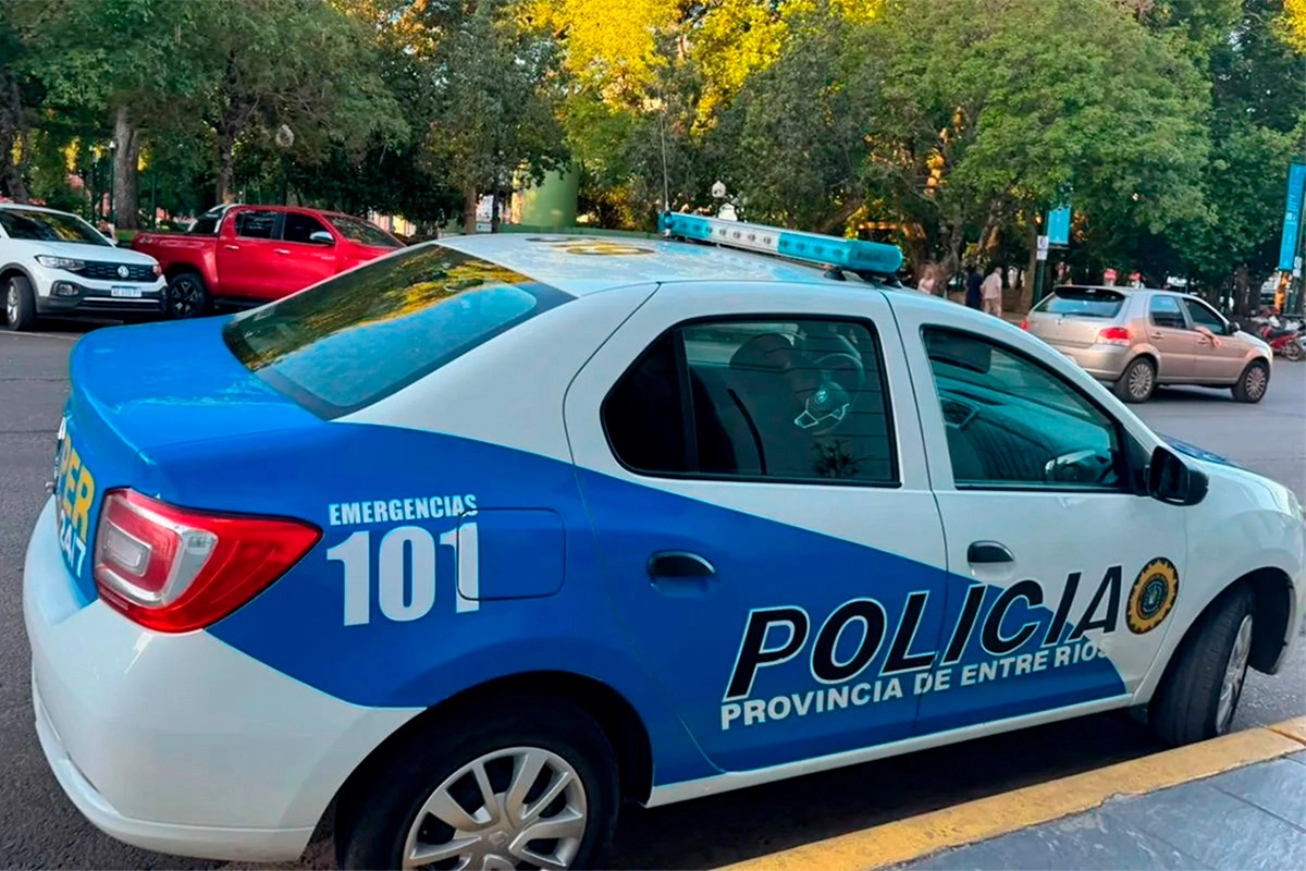 POLICIAL