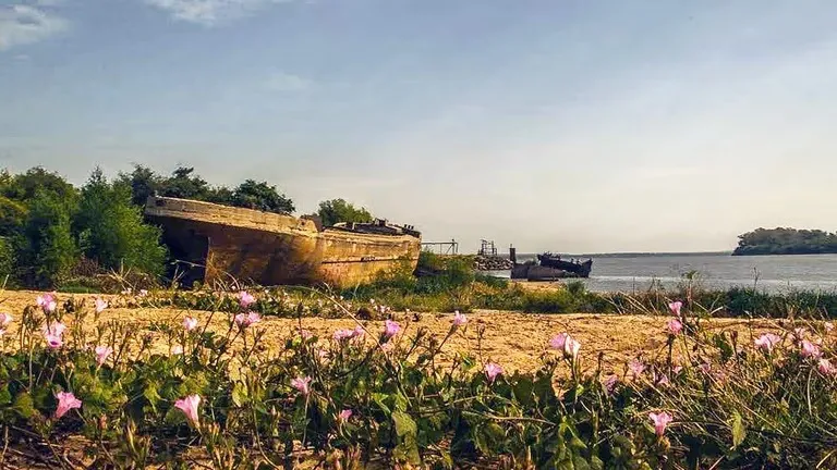 barco colón 1