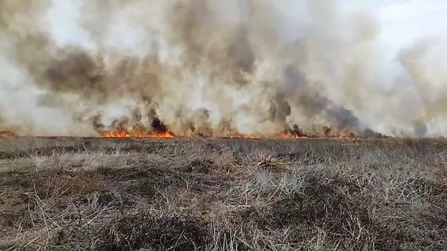 Incendio, Victoria