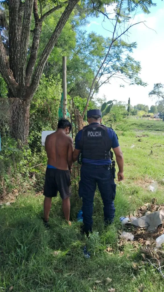 perro-salvador-576x1024