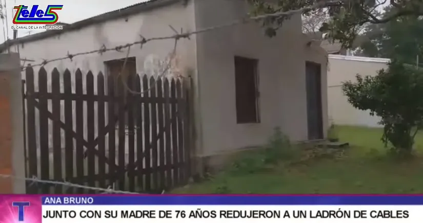 ladrón de cables