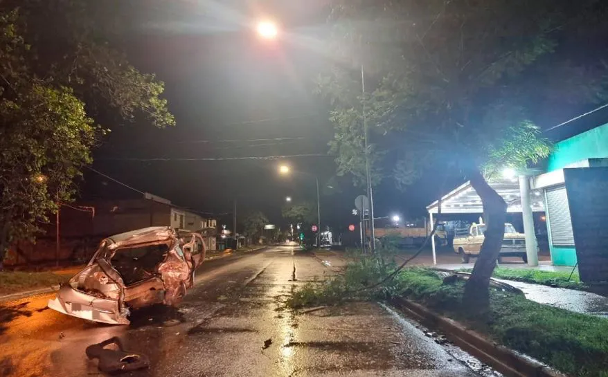 Accidente brutal arbol