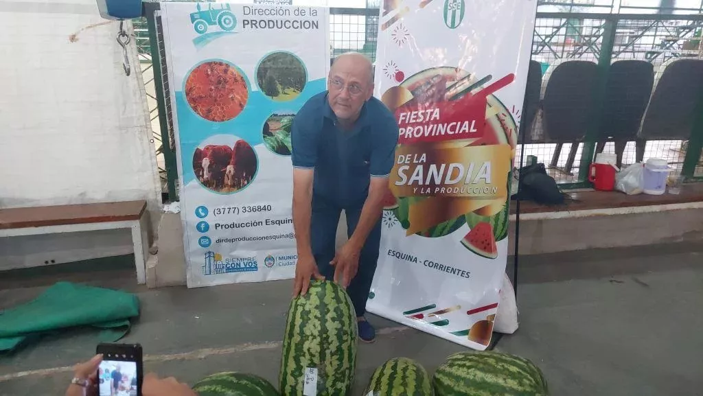 Sandía