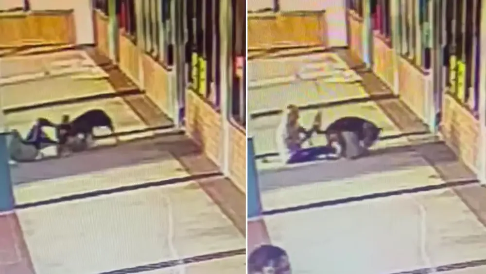 la-mujer-compartio-las-imagenes-en-sus-redes-sociales-para-concientizar-sobre-la-responsabilidad-en-la-tenencia-de-perros-fotos-captura-de-pantalla-del-video-4IOMVKF6BFEHHLBOPV5BED6YZI