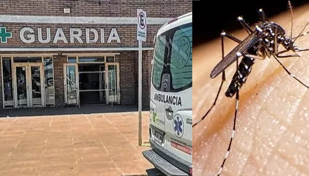 dengue
