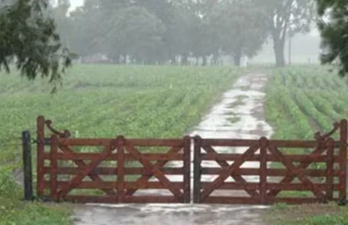 Campo