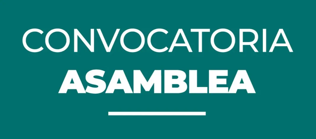 WhatsApp-Image-2025-03-26-at-15.17.33