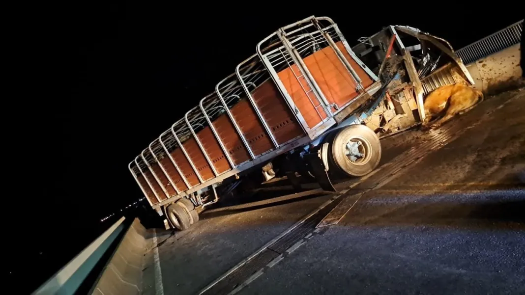 camion