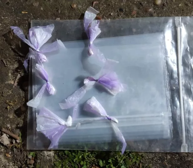 violecia de genero_1