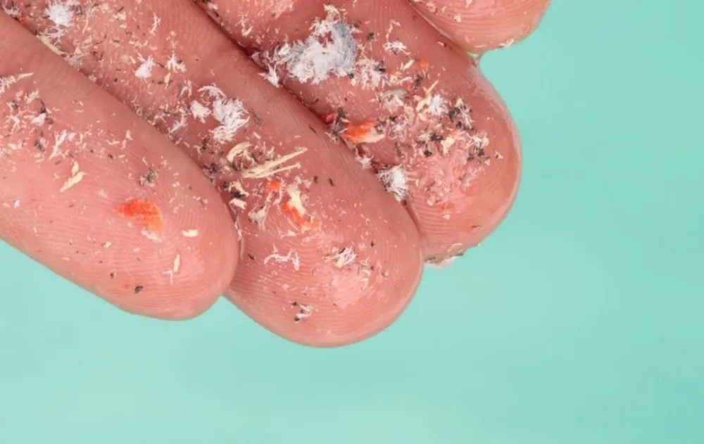 microplasticos (1)