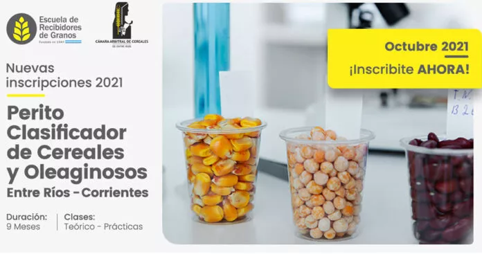 PERITO CLASIFICADOR
