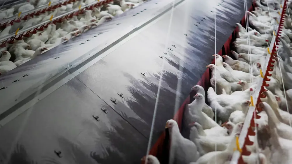 al-igual-que-portugal-espana-tambien-esta-en-alerta-foto-referencial-efeeliseo-trigo-QQNYFMKJINAPPPPAYZBDVS6AYQ