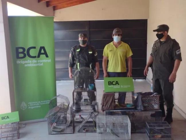 BRIGADA DE CONTROL AMBIENTAL