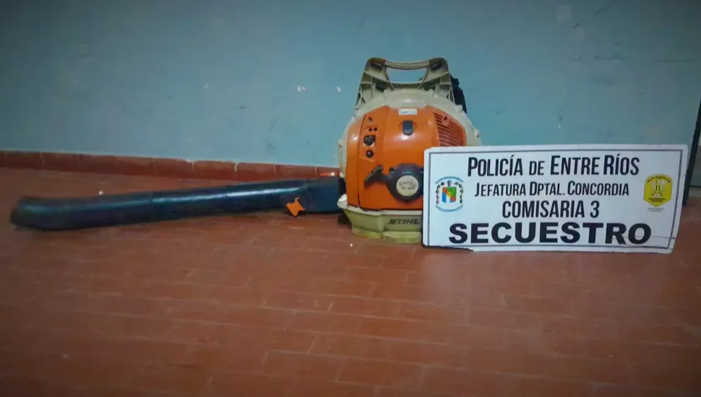 WhatsApp Image 2023-09-01 at 07.38.03