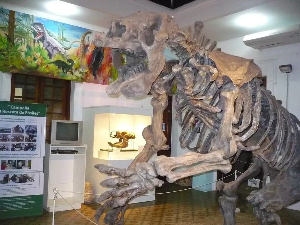 Museo de Antropología