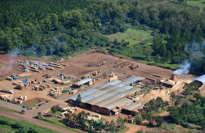 Conflicto en Misiones: cierra una maderera, vacía su planta en secreto y deja a 130 familias en la calle