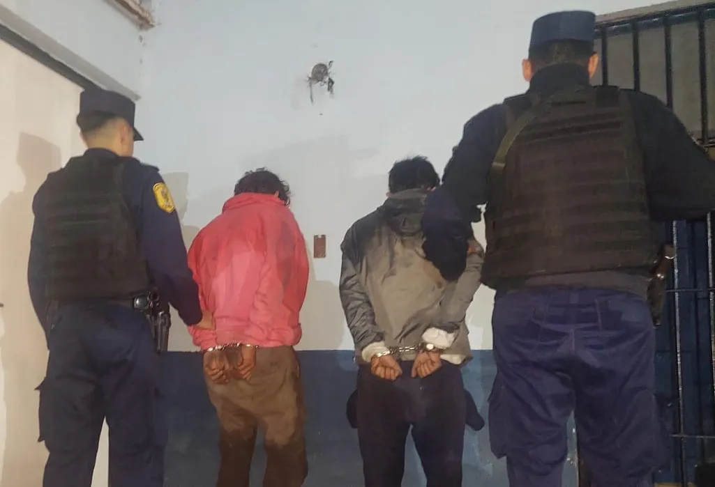 bf3ecfba-ca05-4704-a03e-1fdea08dacf3