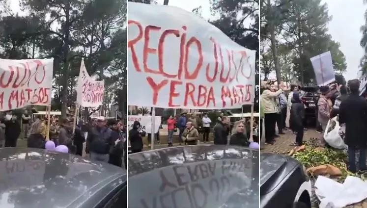 yerbateros protestan a Milei