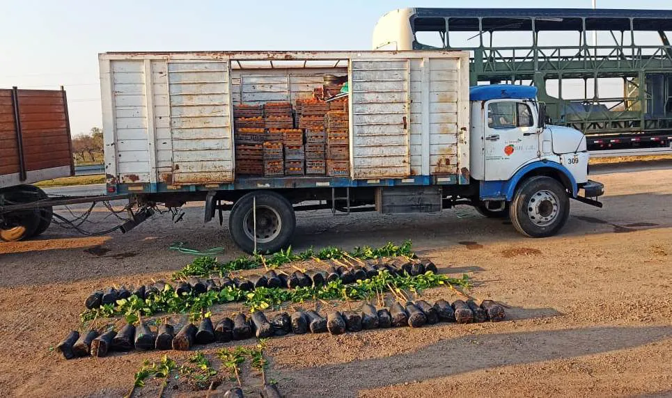 whatsapp_image_2024-08-28_at_08.33.41