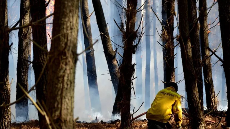Incendios forestales