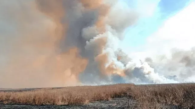 Incendios en el Delta