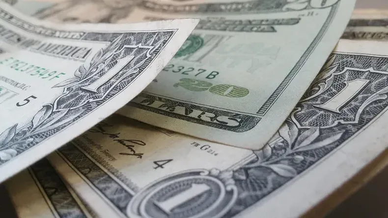 dolares