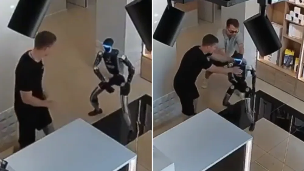 robot-pelea