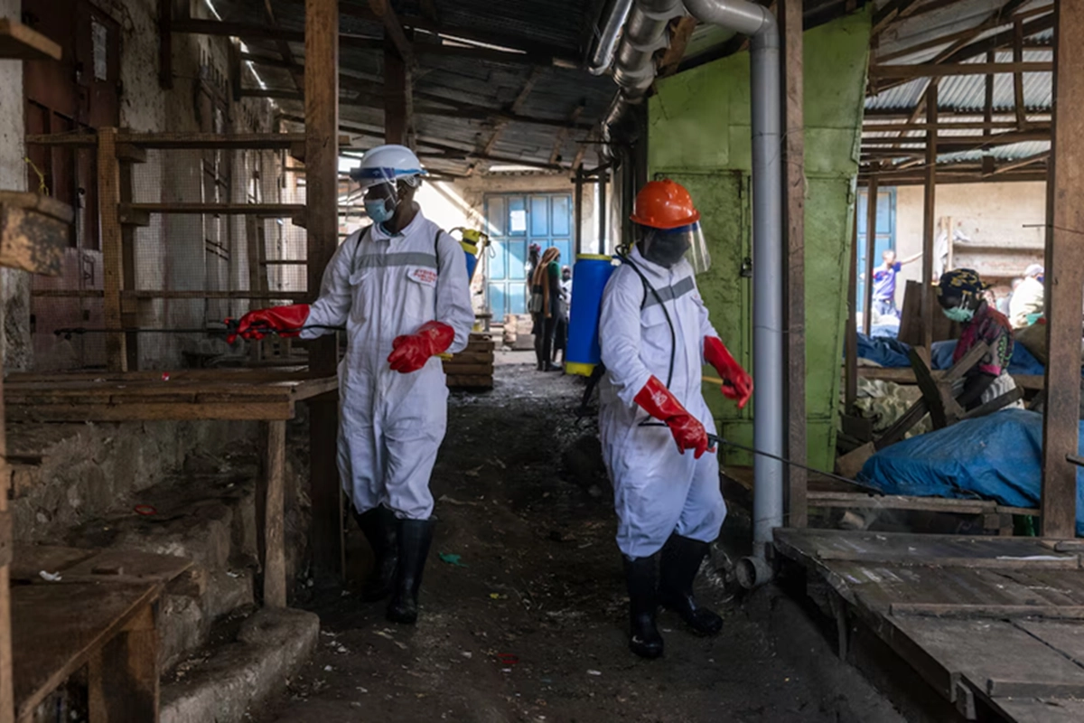 Detectaron tres buques provenientes de zonas afectadas de Ébola rumbo a Argentina