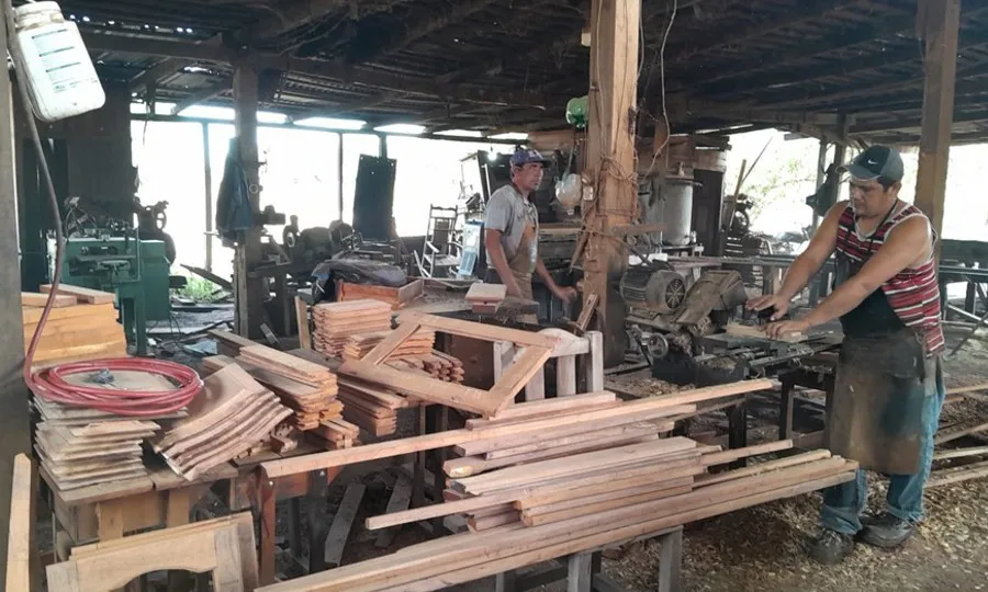 Desde los aserraderos hasta la fabricación de muebles y otros productos se encuentran en situación compleja.