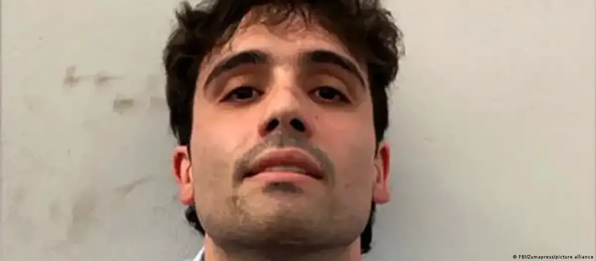 chapo guzmán