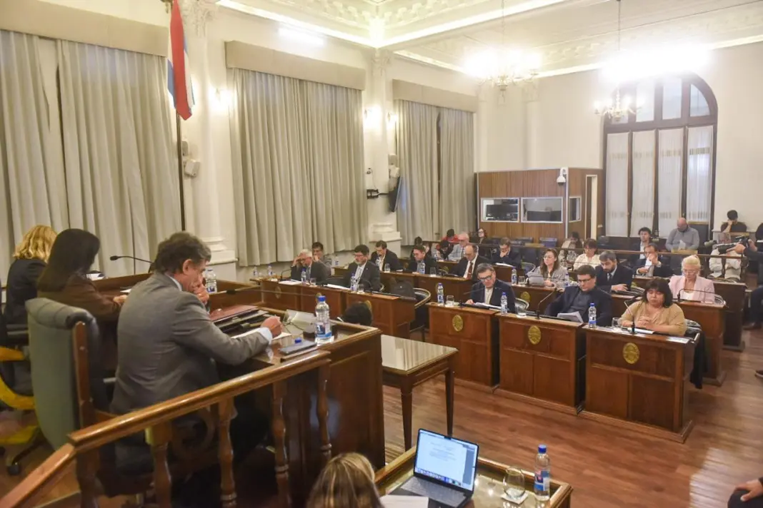 Senado