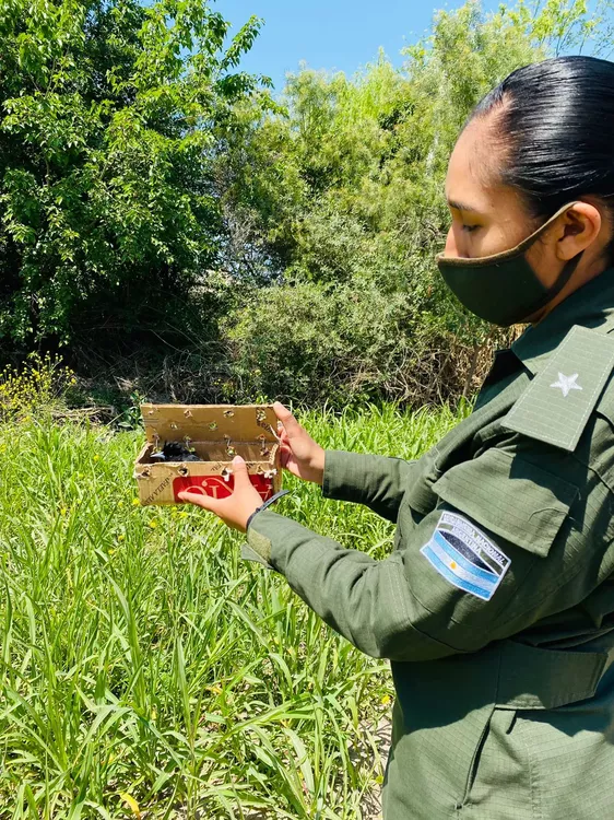 AVES AUTÓCTONAS SECUESTRADAS