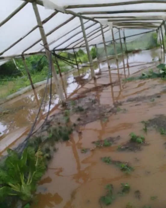 FB_IMG_1742006648217