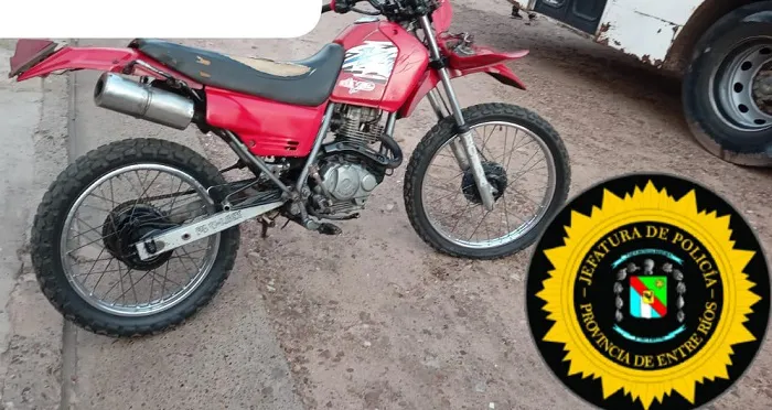 WhatsApp Image 2024-10-08 at 20.25.08