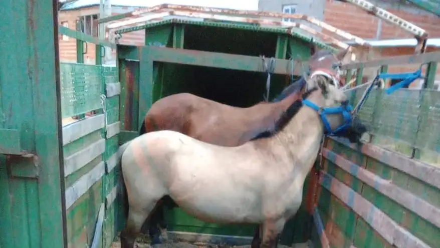 WhatsApp-Image-2026-02-16-at-10.28.29