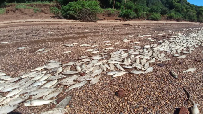 WhatsApp-Image-2024-11-10-at-11.47.10-1