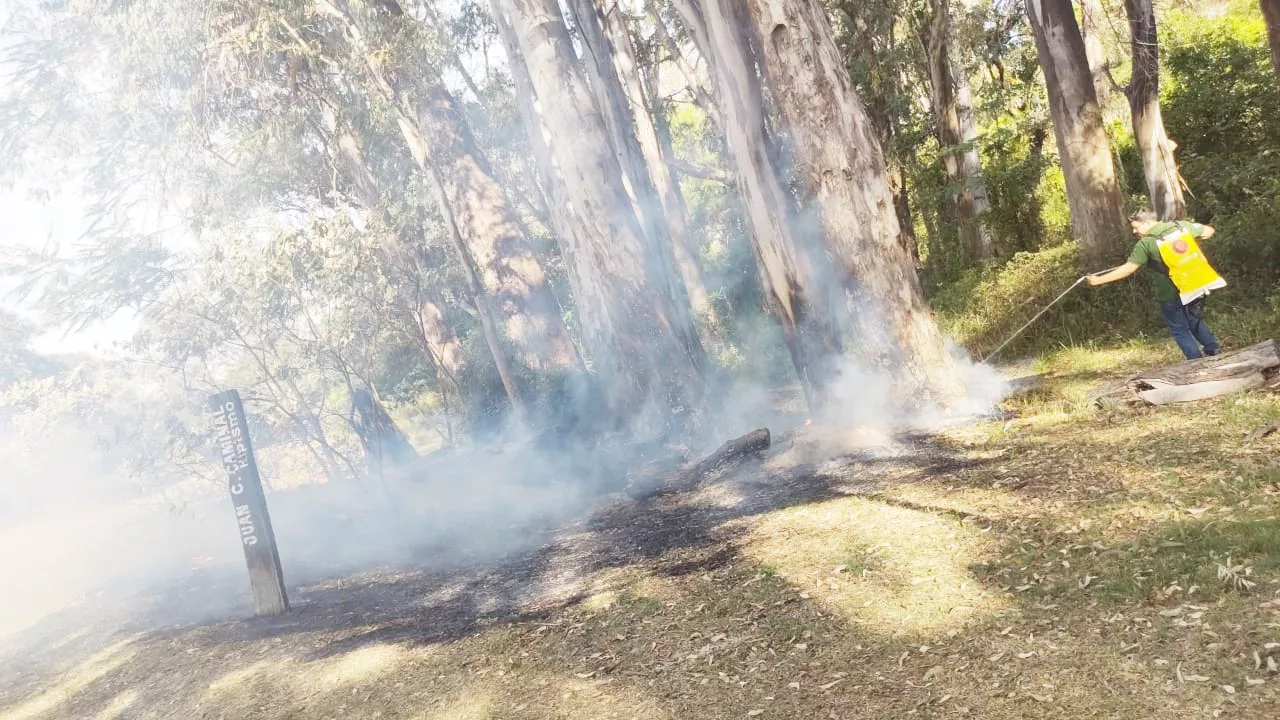 Incendio _ Parque San Carlos
