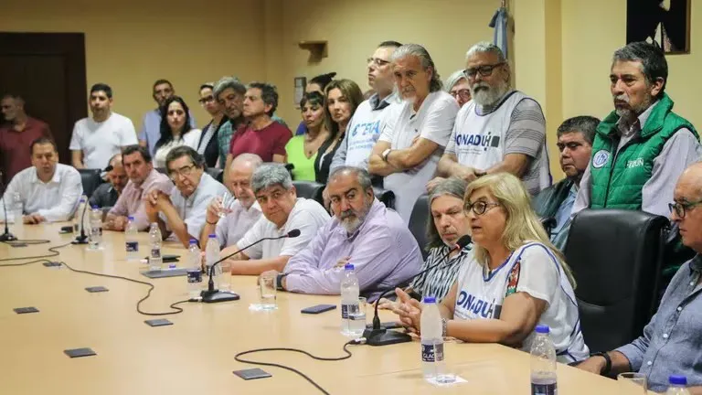 docentes