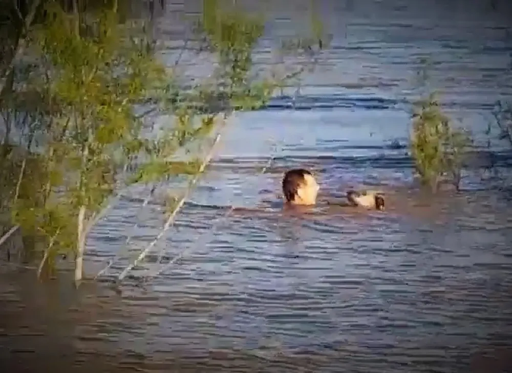 WhatsApp Image 2023-09-14 at 7.56.33 AM