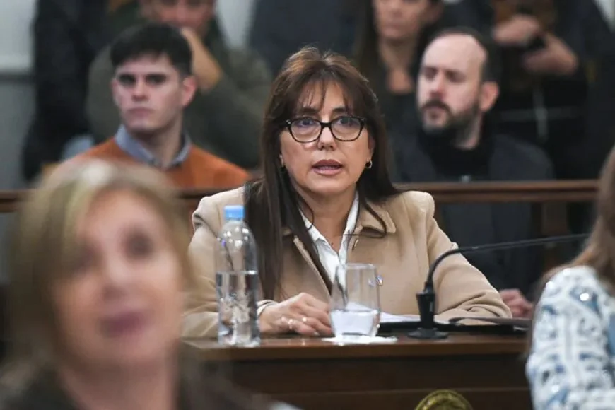 Con el voto de la colaboracionista Domínguez, el oficialismo logró un giro acotado del proyecto de reforma previsional en el Senado