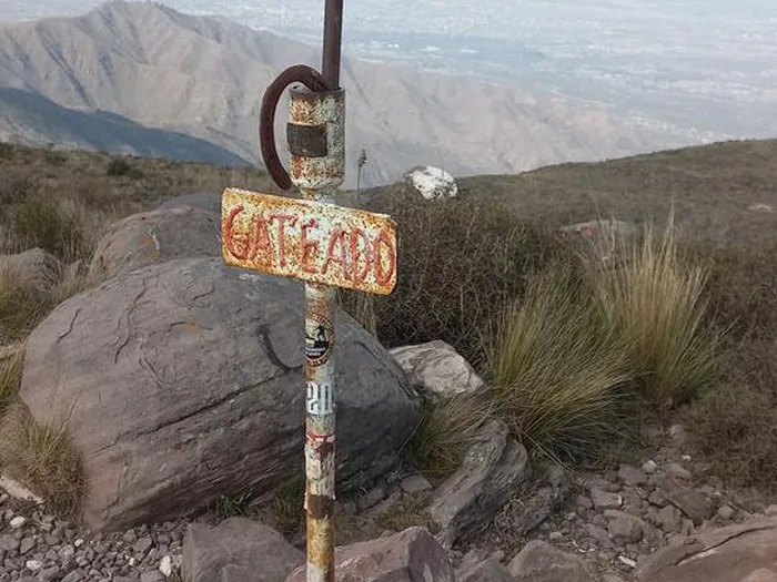 gateado