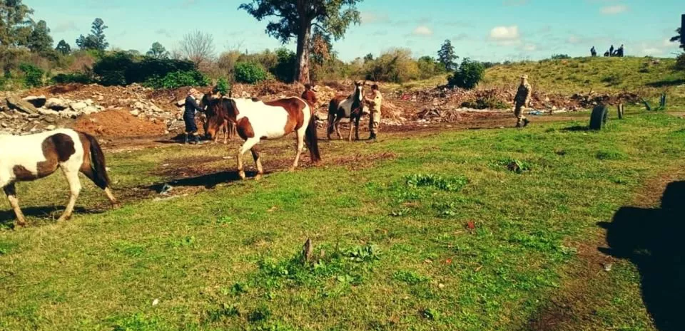 cuatreros3