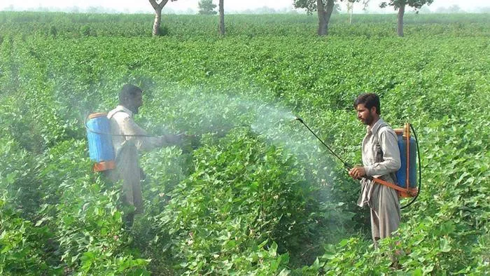 Agricultura - Pesticidas