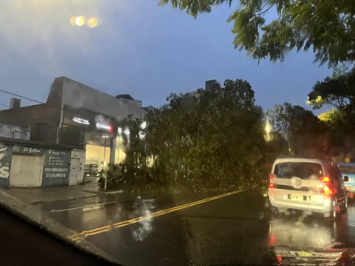 487819727_968549265262802_816451698570153665_n (1)