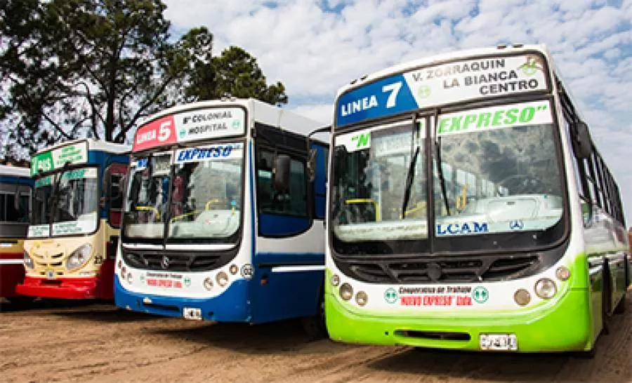 COLECTIVOS