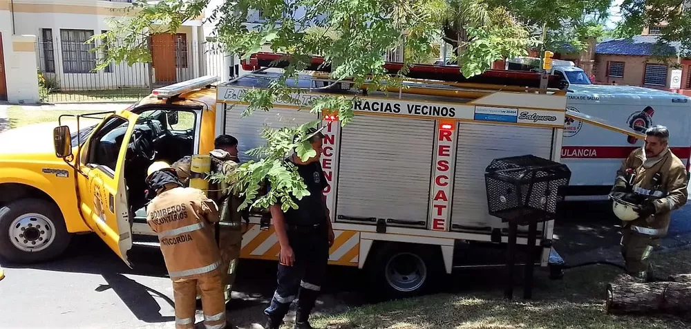 Incendio3