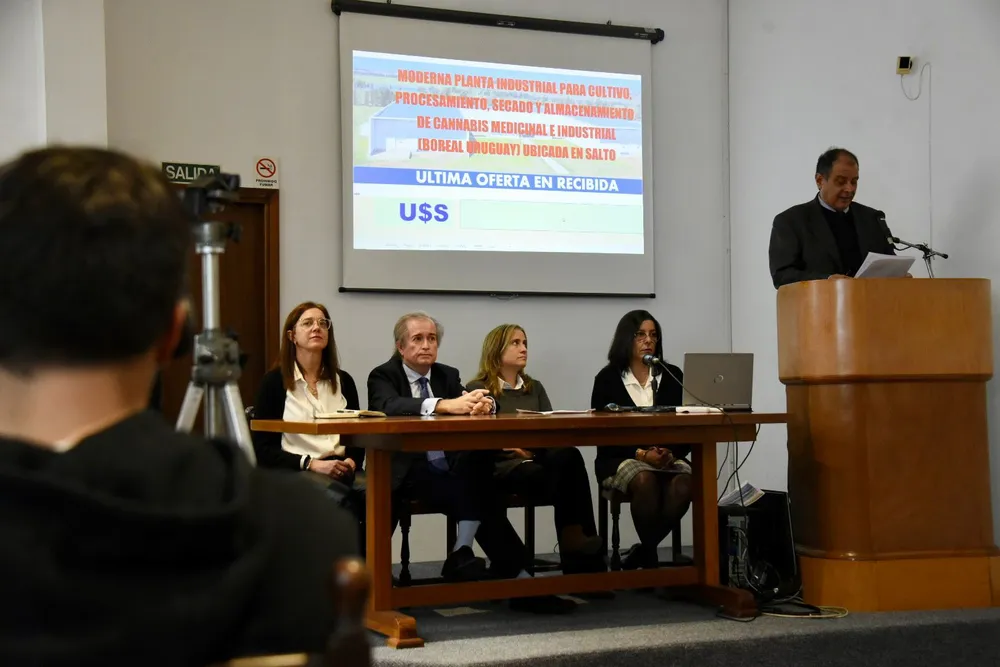 whatsapp-image-2024-08-27-at-92351-pmjpeg