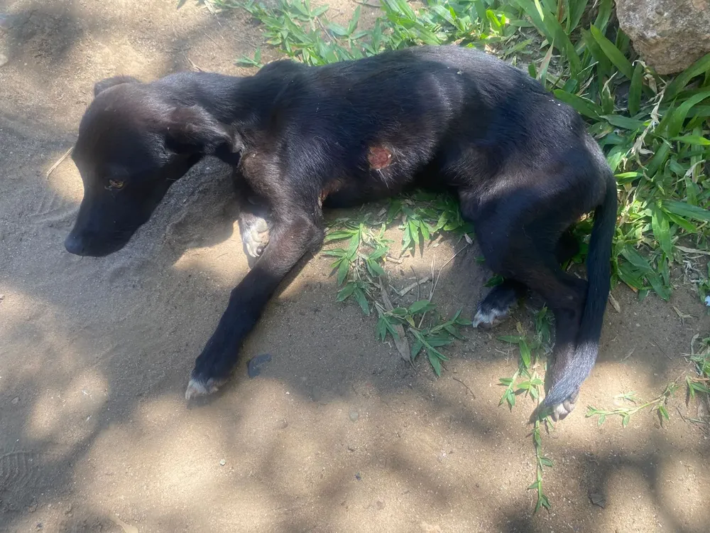 ecf0f9fd-f577-4a3e-af2b-c212b5caf131